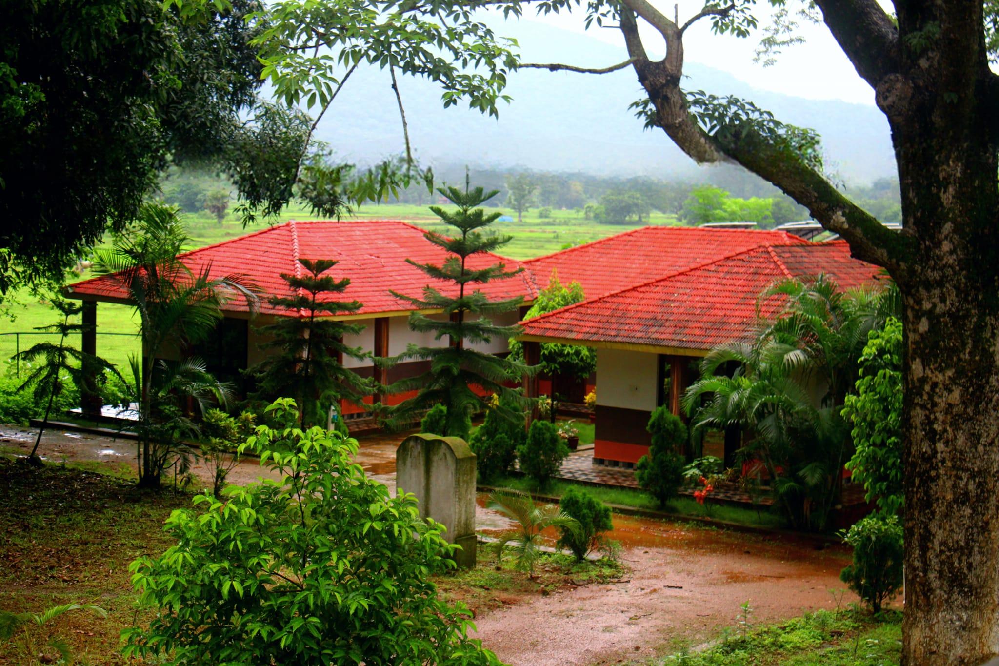 similipal eco cottages 